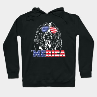 Proud Springer Spaniel American Flag Merica dog Hoodie